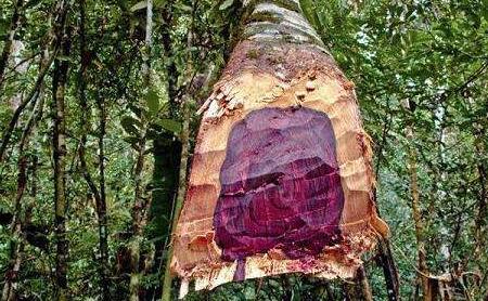 20190227153555941.jpg 20190227153555941.jpg